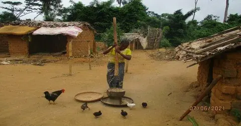 Au village, photo d’une Dame entrain de piler le riz par manque de rizerie afin de le décortiquer afin de préparer aux personnes en pleine formation